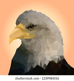 Isolated bald eagle on white background,Low poly head of falcon,Vector illustration