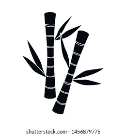 Isolated bamboo object icon. Collection of bamboo and botanical stock vector illustration.