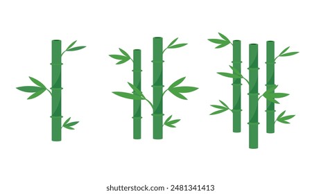 isolated bamboo on white background vector illustration