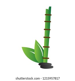 Isolated bamboo symbol. Abstract spa logo. Vector illustration design