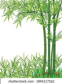 isolated bamboo tree on white background vector design