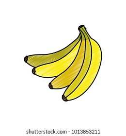 Isolated banana design