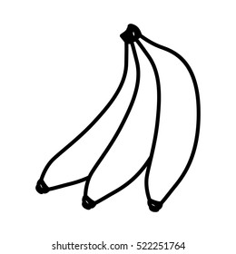 Isolated banana fruit design