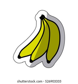 Isolated banana fruit design