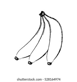 Isolated banana fruit design