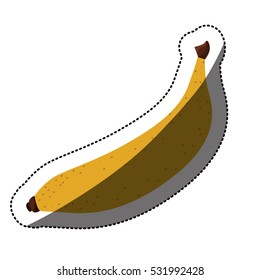 Isolated banana fruit design