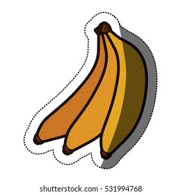 Isolated banana fruit design