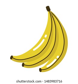 Isolated banana fruit vector design
