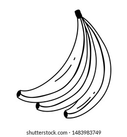 Isolated banana fruit vector design