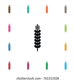 Isolated Barley Icon. Spike Vector Element Can Be Used For Barley, Spike, Sheaf Design Concept.
