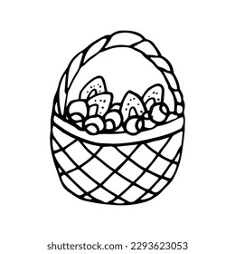 Isolated Basket with Strawberry and Blueberry Isolated doodle vector. Line style simple outline.