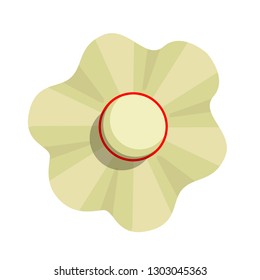 Isolated beach hat image. Vector illustration design