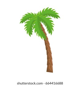 isolated beach palm