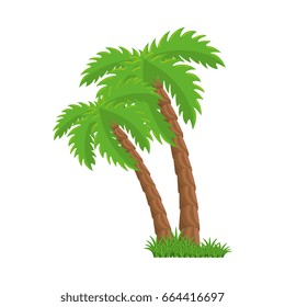 isolated beach palm