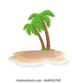 isolated beach palm