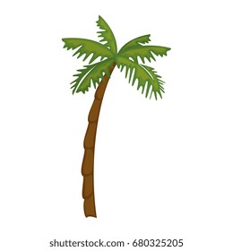 isolated beach palm