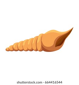 isolated beach seashell