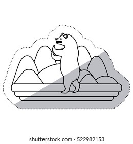 Isolated bear animal design