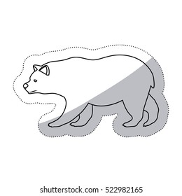 Isolated bear animal design