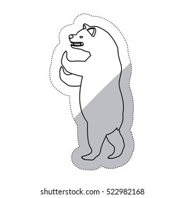 Isolated bear animal design