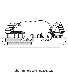 Isolated bear animal design