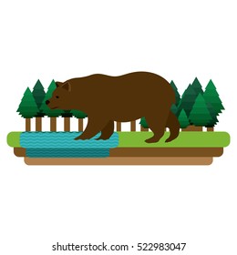 Isolated bear animal design