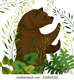 Isolated bear animal design