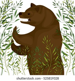Isolated bear animal design
