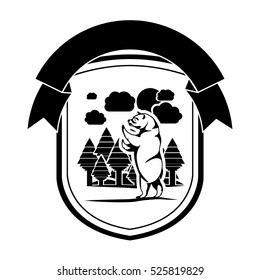 Isolated bear animal design
