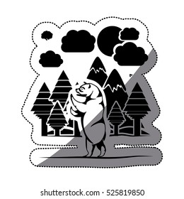 Isolated bear animal design