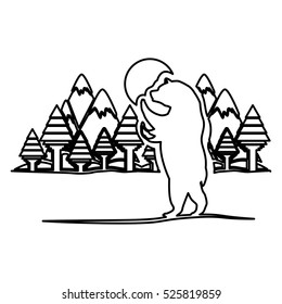 Isolated bear animal design