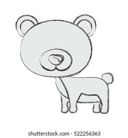 Isolated bear cartoon design