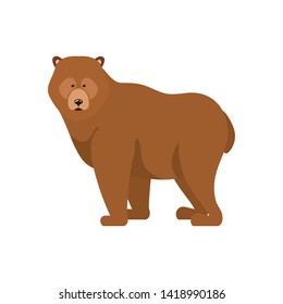 Isolated bear forest animal design