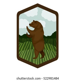 Isolated bear inside frame design