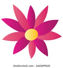 Flor beatillante aislada. Temporada de primavera: ilustración del vector