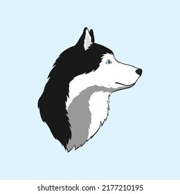 Isolated Beautiful Alaskan Husky Dog. One Head of a Pretty Siberian Husky. Portrait. Side View. Black White and Grey Color. Blue Eyes. Blue background. Vector illustration for Logo and Design.