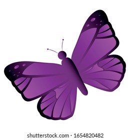 Hermosa mariposa aislada. Hermoso insecto - Ilustración vectorial