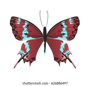 Isolated beautiful butterfly on white background. Red and turquoise colors.