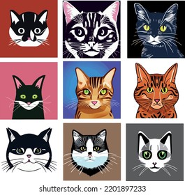 Isolated Beautiful Cat portrait Collection