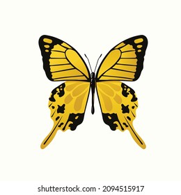 Isolación hermosa y colorida ilustración vectorial de mariposa
