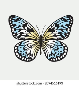 Isolated beautiful colorful butterfly vector illustration