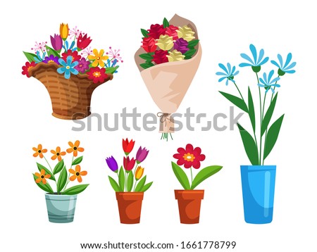 Isolated beautiful flower bouquets in wrapping and blooming plant in clay or plastic flowerpots, wicker basket set. Tulip, rose and bud composition. Decorative florist shop item on white background