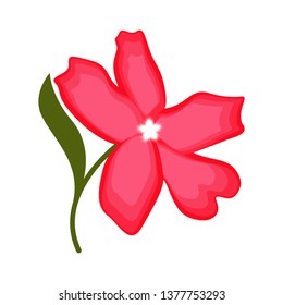 Isolated beautiful flower image. Vector illustration design