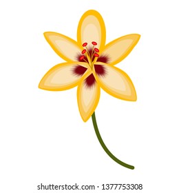 Isolated beautiful flower image. Vector illustration design