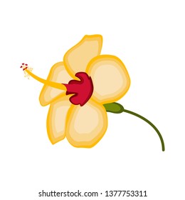 Isolated beautiful flower image. Vector illustration design