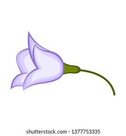 Isolated beautiful flower image. Vector illustration design