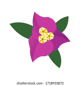 Isolated beautiful flower with leaves - Vector illustration