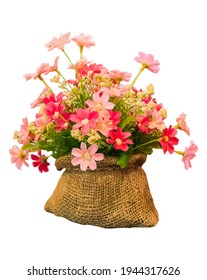 isolated beautiful flower in sack vector design