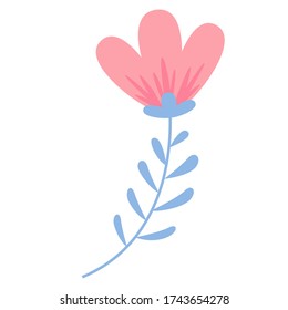 Isolated beautiful flower, Spring time - Vector illustration