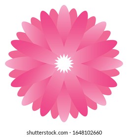 Isolated beautiful pink flower. Spring season - VEctor